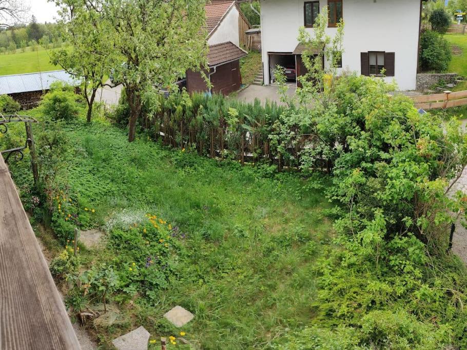 Apartment Grosse Mit Dachterrasse